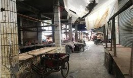 南门菜市场最新爆料,最新爆料揭秘市场新面貌